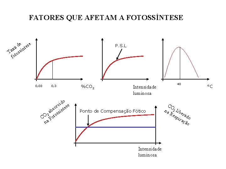 FATORES QUE AFETAM A FOTOSSÍNTESE de tese a n x Ta tossí fo P.