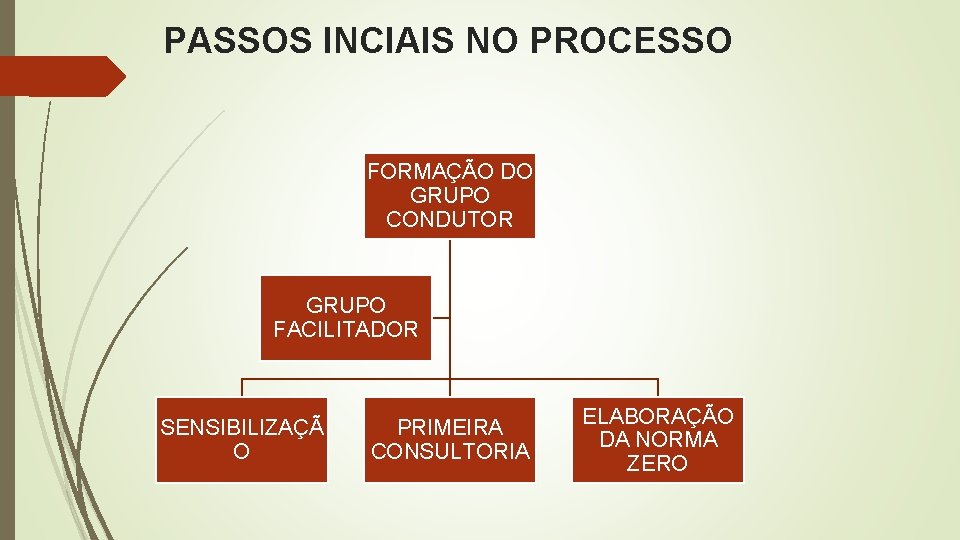 PASSOS INCIAIS NO PROCESSO FORMAÇÃO DO GRUPO CONDUTOR GRUPO FACILITADOR SENSIBILIZAÇÃ O PRIMEIRA CONSULTORIA