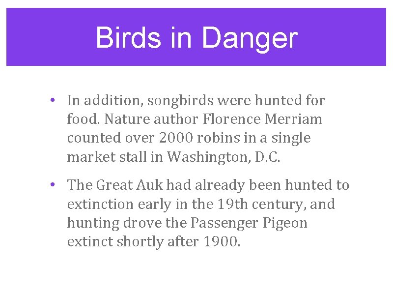Birds in Danger • In addition, songbirds were hunted for food. Nature author Florence