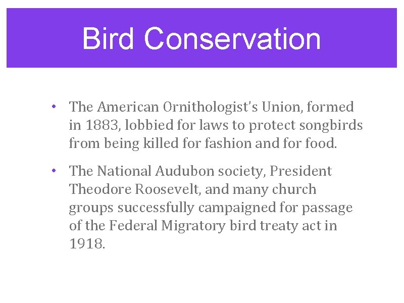 Bird Conservation • The American Ornithologist’s Union, formed in 1883, lobbied for laws to