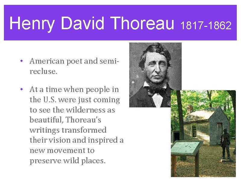 Henry David Thoreau 1817 -1862 • American poet and semirecluse. • At a time
