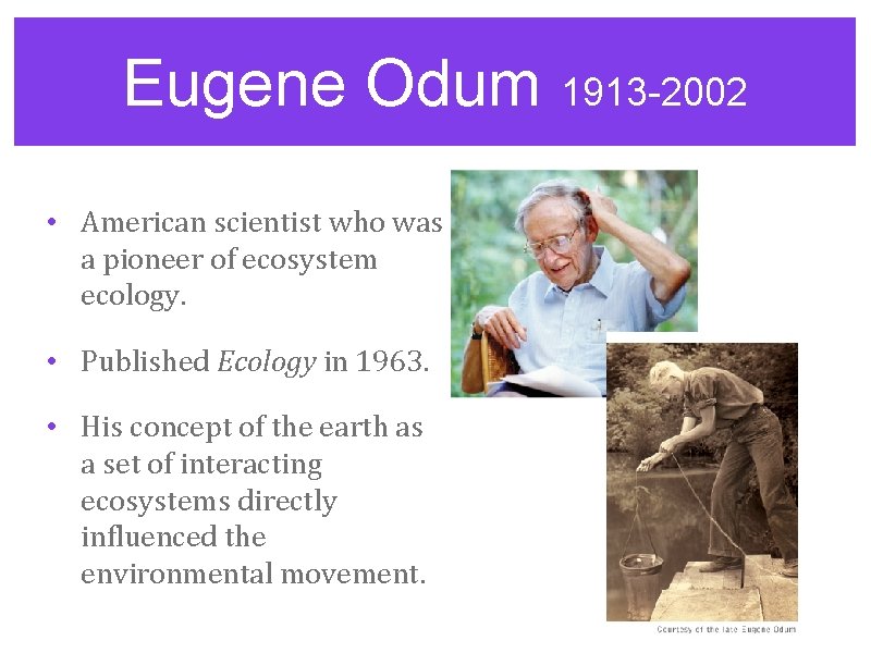 Eugene Odum 1913 -2002 • American scientist who was a pioneer of ecosystem ecology.