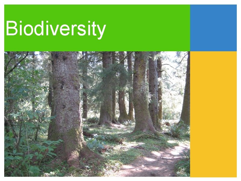 Biodiversity 