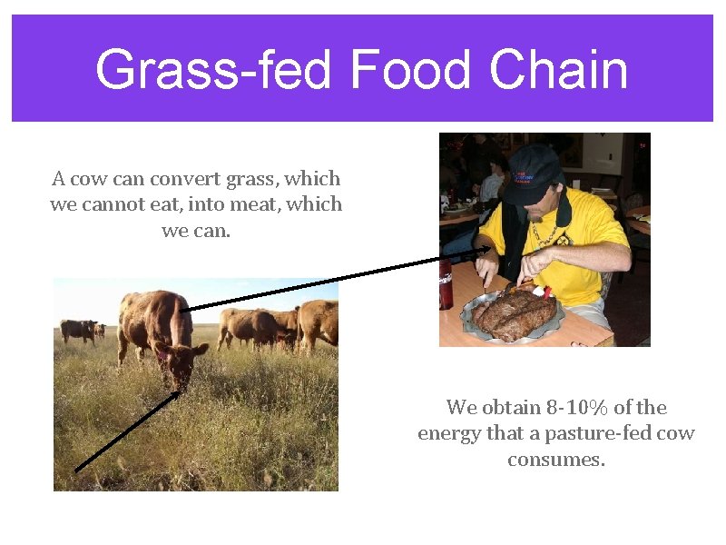 Grass-fed Food Chain A cow can convert grass, which we cannot eat, into meat,