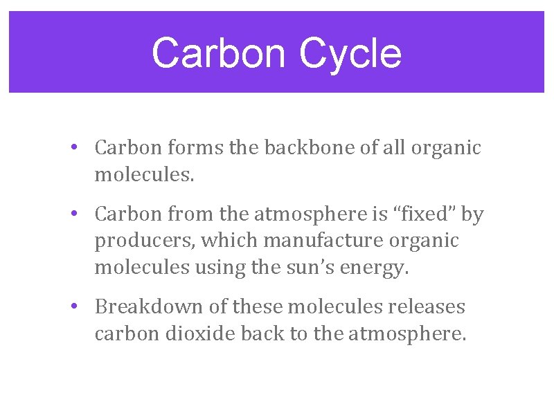 Carbon Cycle • Carbon forms the backbone of all organic molecules. • Carbon from