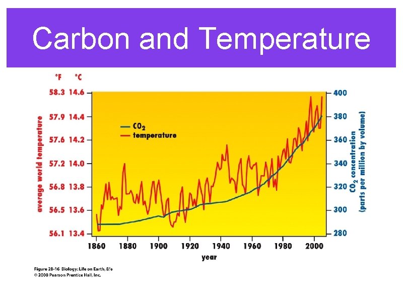 Carbon and Temperature 