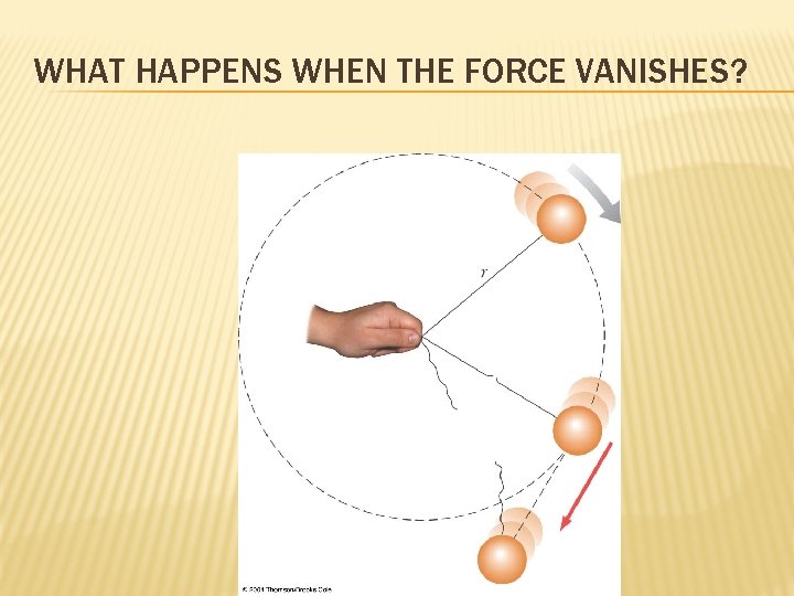 WHAT HAPPENS WHEN THE FORCE VANISHES? 