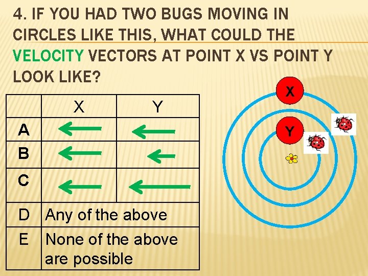 4. IF YOU HAD TWO BUGS MOVING IN CIRCLES LIKE THIS, WHAT COULD THE