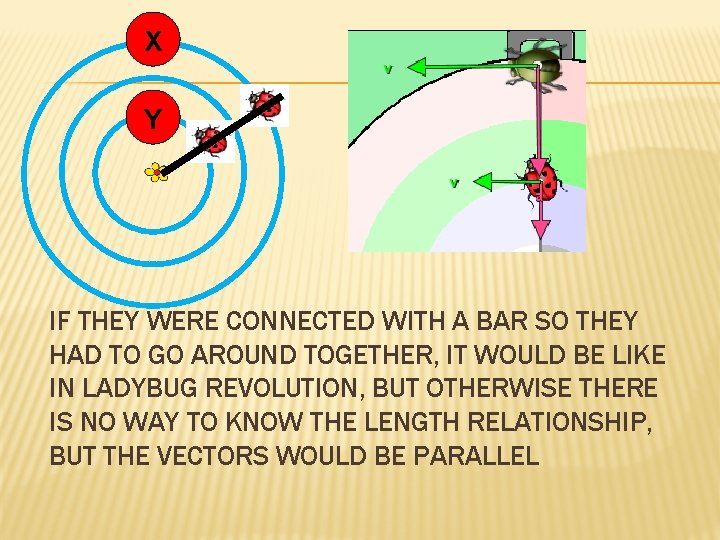 X Y IF THEY WERE CONNECTED WITH A BAR SO THEY HAD TO GO