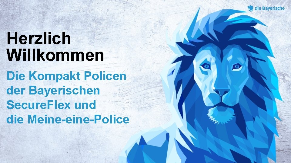 Herzlich Willkommen Die Kompakt Policen der Bayerischen Secure. Flex und die Meine-Police 