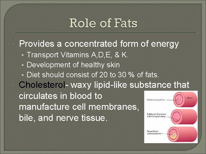  Provides a concentrated form of energy • Transport Vitamins A, D, E, &