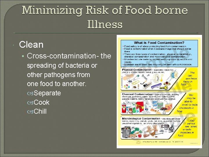  Clean • Cross-contamination- the spreading of bacteria or other pathogens from one food