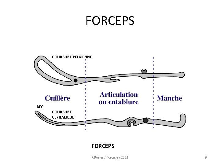 FORCEPS COURBURE PELVIENNE BEC COURBURE CEPHALIQUE FORCEPS P. Rosier / Forceps / 2011 9