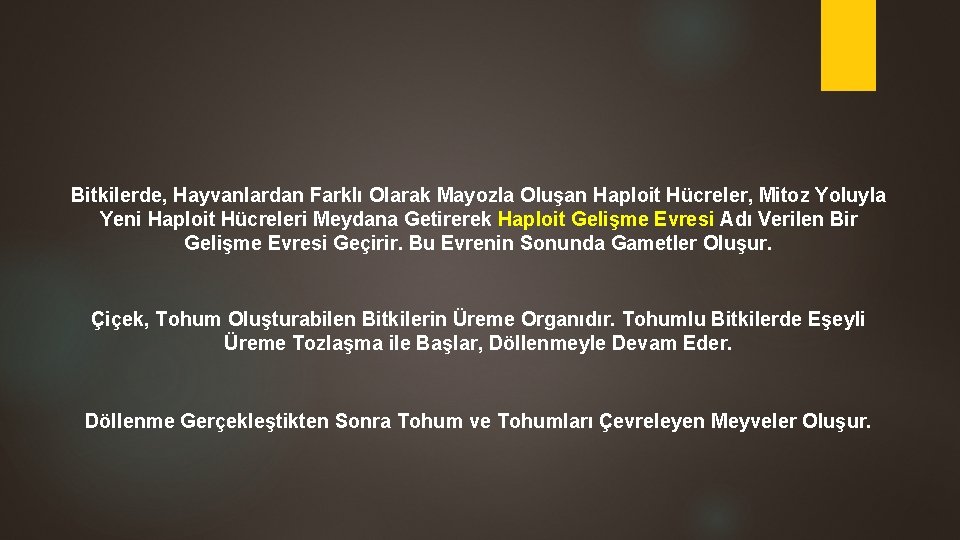 Bitkilerde, Hayvanlardan Farklı Olarak Mayozla Oluşan Haploit Hücreler, Mitoz Yoluyla Yeni Haploit Hücreleri Meydana