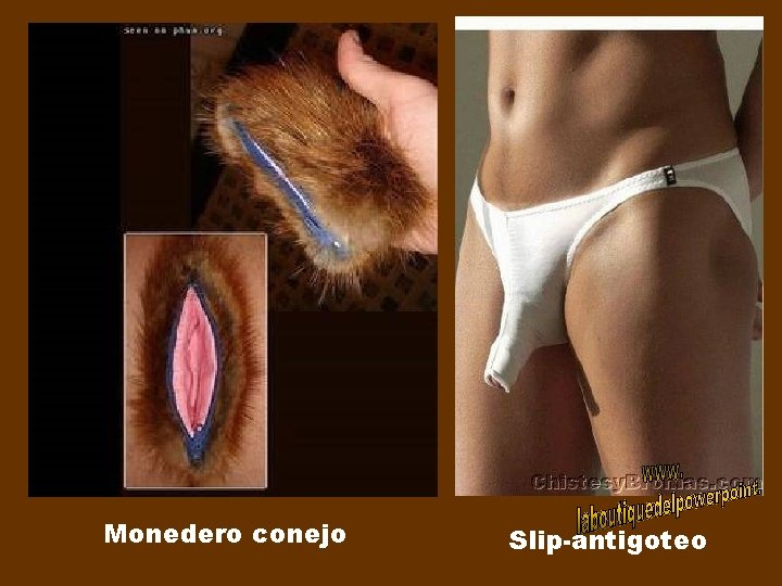 Monedero conejo Slip-antigoteo 