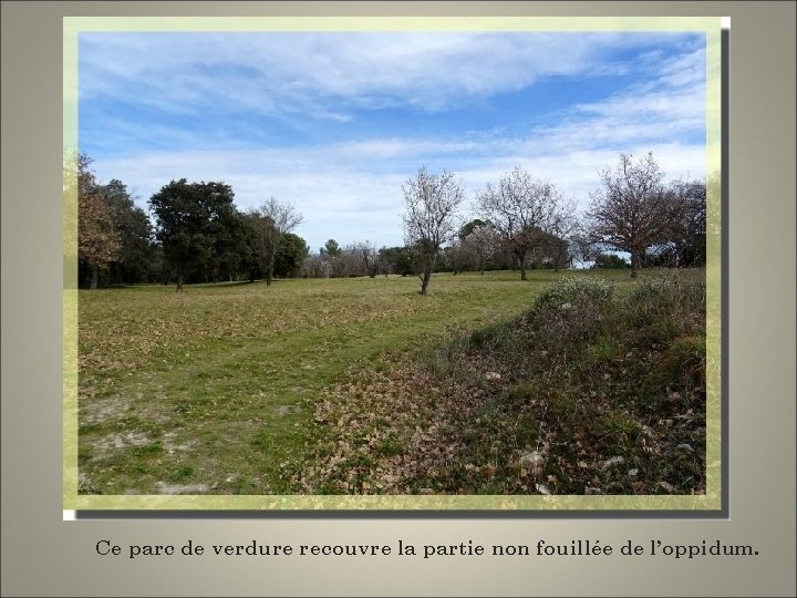 Ce parc de verdure recouvre la partie non fouillée de l’oppidum. 