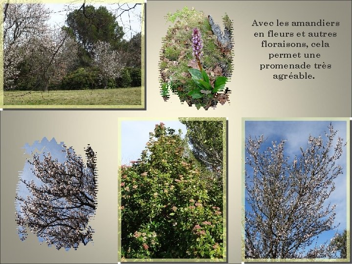 Avec les amandiers en fleurs et autres floraisons, cela permet une promenade très agréable.