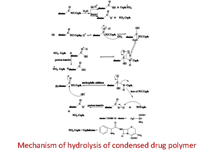 Mechanism of hydrolysis of condensed drug polymer 