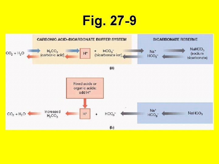 Fig. 27 -9 