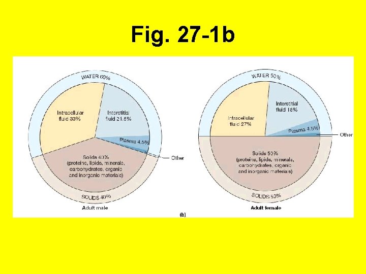 Fig. 27 -1 b 