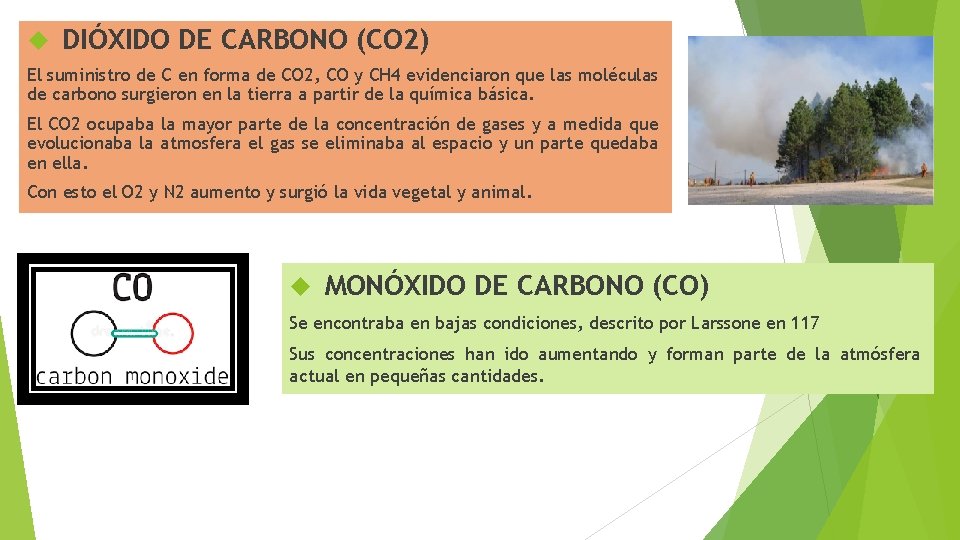  DIÓXIDO DE CARBONO (CO 2) El suministro de C en forma de CO