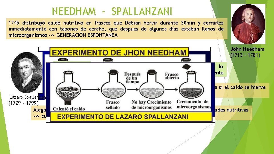 NEEDHAM - SPALLANZANI 1745 distribuyó caldo nutritivo en frascos que Debian hervir durante 30