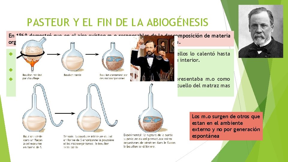 PASTEUR Y EL FIN DE LA ABIOGÉNESIS En 1860 demostró que en el aire