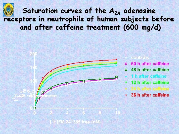 Saturation curves of the A 2 A adenosine receptors in neutrophils of human subjects