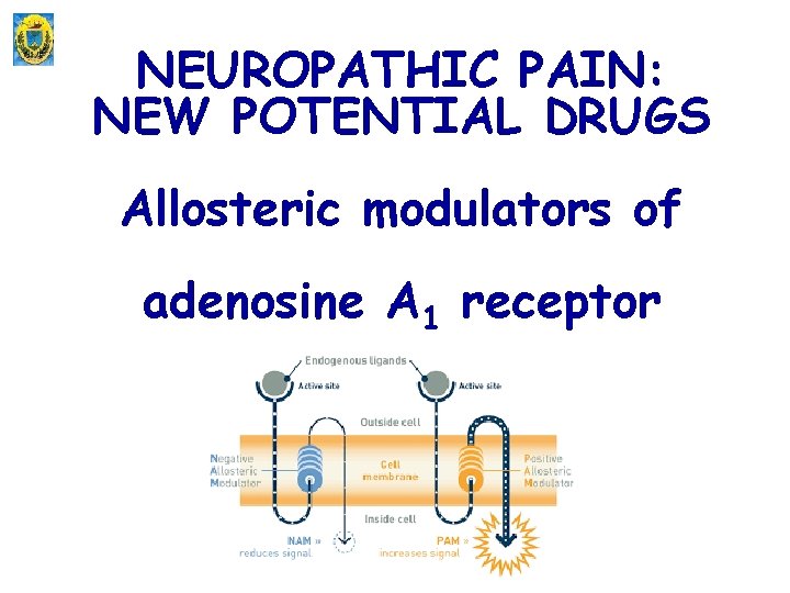 NEUROPATHIC PAIN: NEW POTENTIAL DRUGS Allosteric modulators of adenosine A 1 receptor 