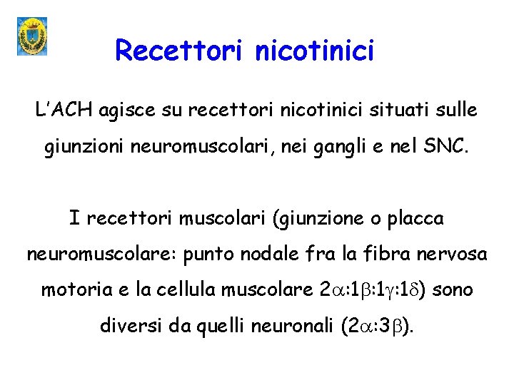 Recettori nicotinici L’ACH agisce su recettori nicotinici situati sulle giunzioni neuromuscolari, nei gangli e