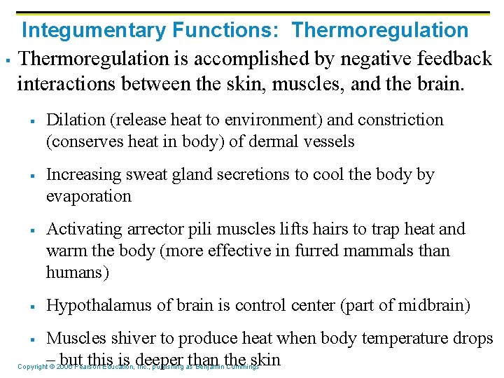 § Integumentary Functions: Thermoregulation is accomplished by negative feedback interactions between the skin, muscles, § Integumentary Functions: Thermoregulation is accomplished by negative feedback interactions between the skin, muscles,