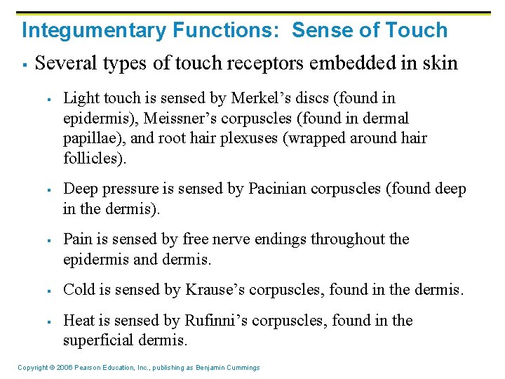 Integumentary Functions: Sense of Touch § Several types of touch receptors embedded in skin Integumentary Functions: Sense of Touch § Several types of touch receptors embedded in skin