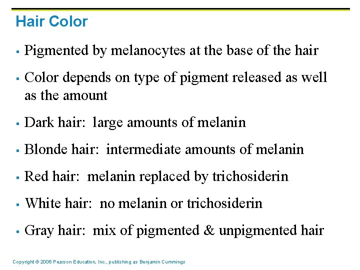 Hair Color § § Pigmented by melanocytes at the base of the hair Color Hair Color § § Pigmented by melanocytes at the base of the hair Color