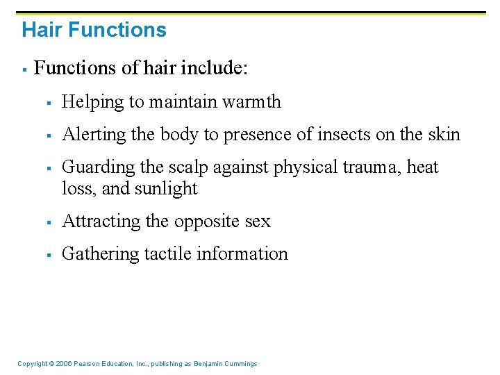 Hair Functions § Functions of hair include: § Helping to maintain warmth § Alerting Hair Functions § Functions of hair include: § Helping to maintain warmth § Alerting