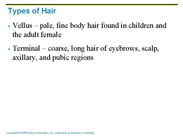 Types of Hair § § Vellus – pale, fine body hair found in children Types of Hair § § Vellus – pale, fine body hair found in children