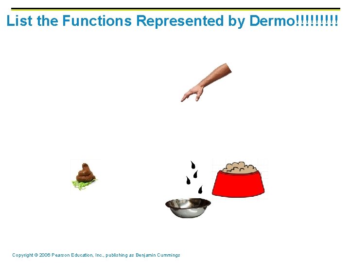 List the Functions Represented by Dermo!!!!! Copyright © 2006 Pearson Education, Inc. , publishing List the Functions Represented by Dermo!!!!! Copyright © 2006 Pearson Education, Inc. , publishing
