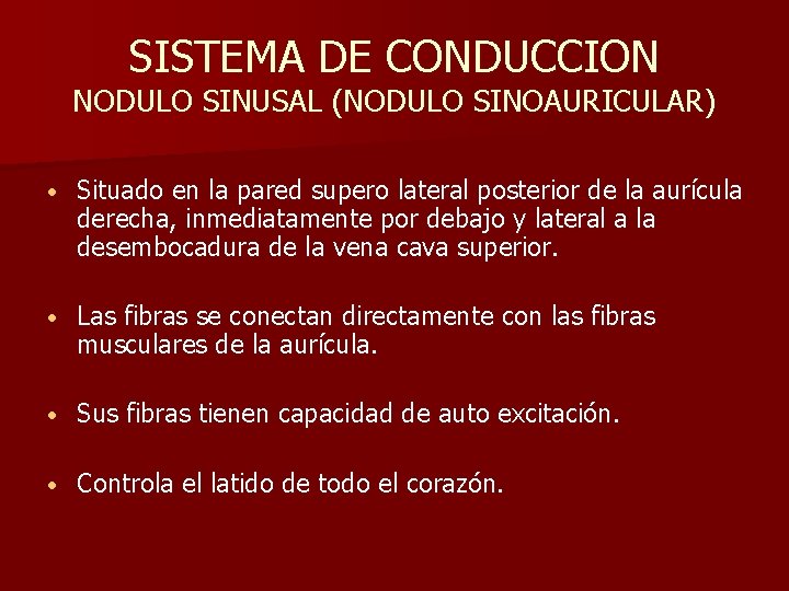 SISTEMA DE CONDUCCION NODULO SINUSAL (NODULO SINOAURICULAR) • Situado en la pared supero lateral