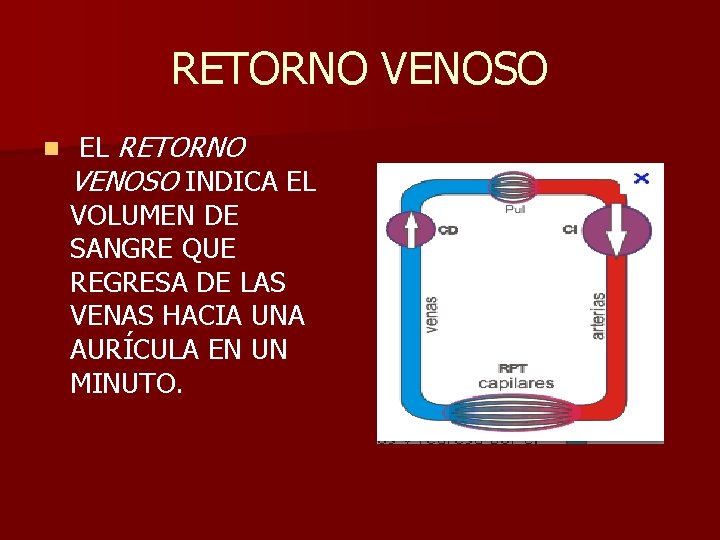 RETORNO VENOSO n EL RETORNO VENOSO INDICA EL VOLUMEN DE SANGRE QUE REGRESA DE