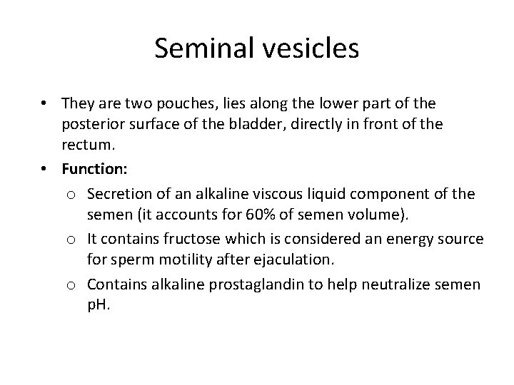 Seminal vesicles • They are two pouches, lies along the lower part of the