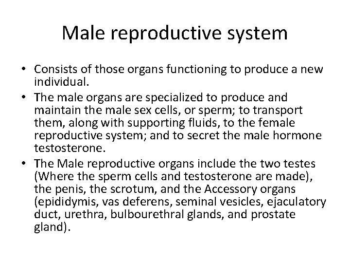 Male reproductive system • Consists of those organs functioning to produce a new individual.