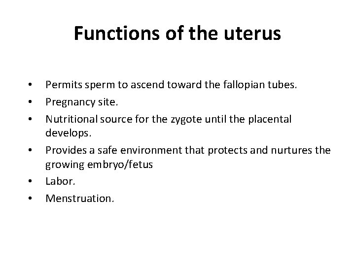 Functions of the uterus • • • Permits sperm to ascend toward the fallopian