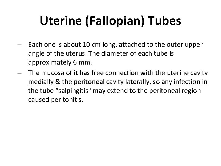 Uterine (Fallopian) Tubes – Each one is about 10 cm long, attached to the