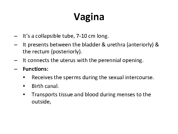Vagina – It's a collapsible tube, 7 -10 cm long. – It presents between