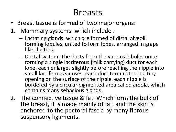 Breasts • Breast tissue is formed of two major organs: 1. Mammary systems: which
