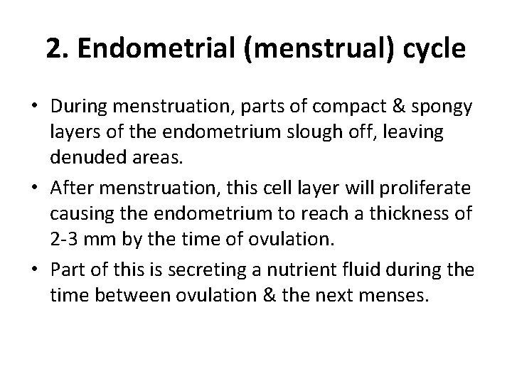 2. Endometrial (menstrual) cycle • During menstruation, parts of compact & spongy layers of
