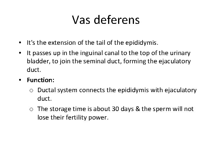 Vas deferens • It's the extension of the tail of the epididymis. • It