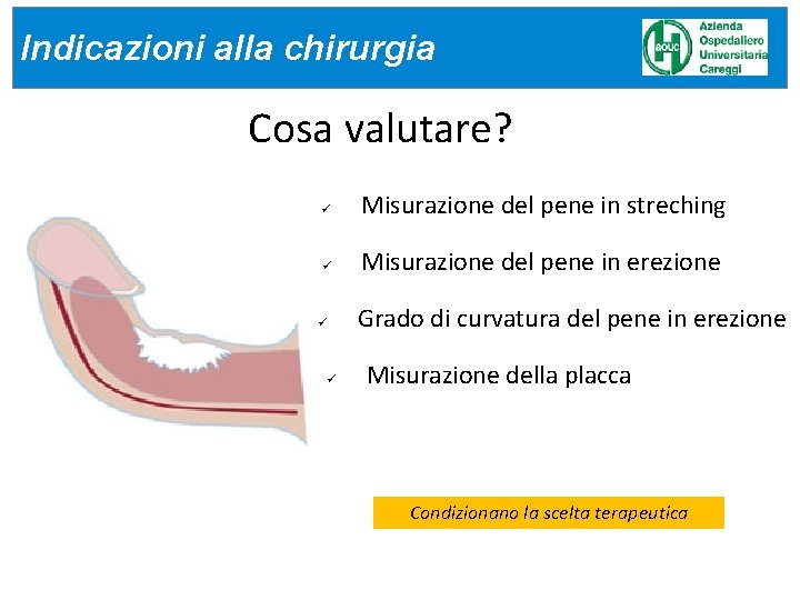 Indicazioni alla chirurgia Cosa valutare? ü Misurazione del pene in streching ü Misurazione del Indicazioni alla chirurgia Cosa valutare? ü Misurazione del pene in streching ü Misurazione del