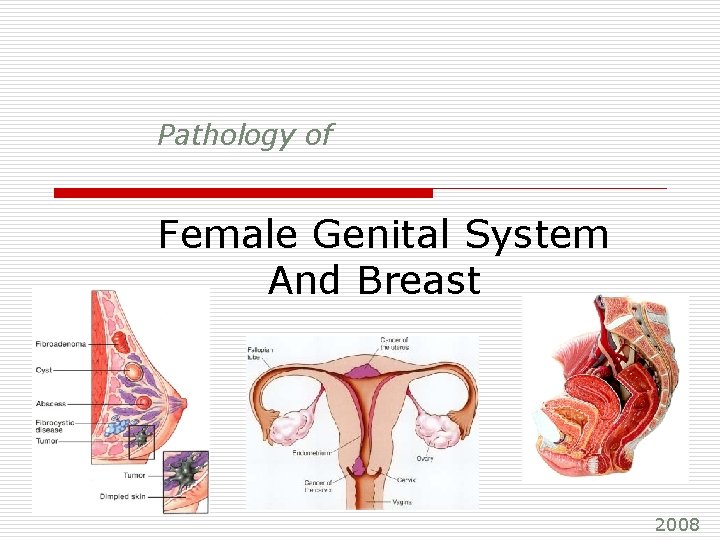 Pathology of Female Genital System And Breast 2008 