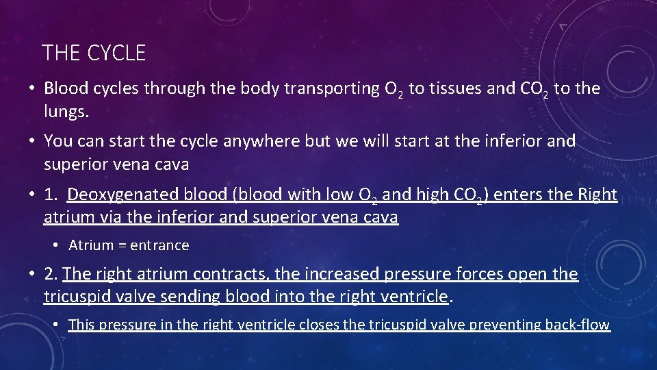 THE CYCLE • Blood cycles through the body transporting O 2 to tissues and