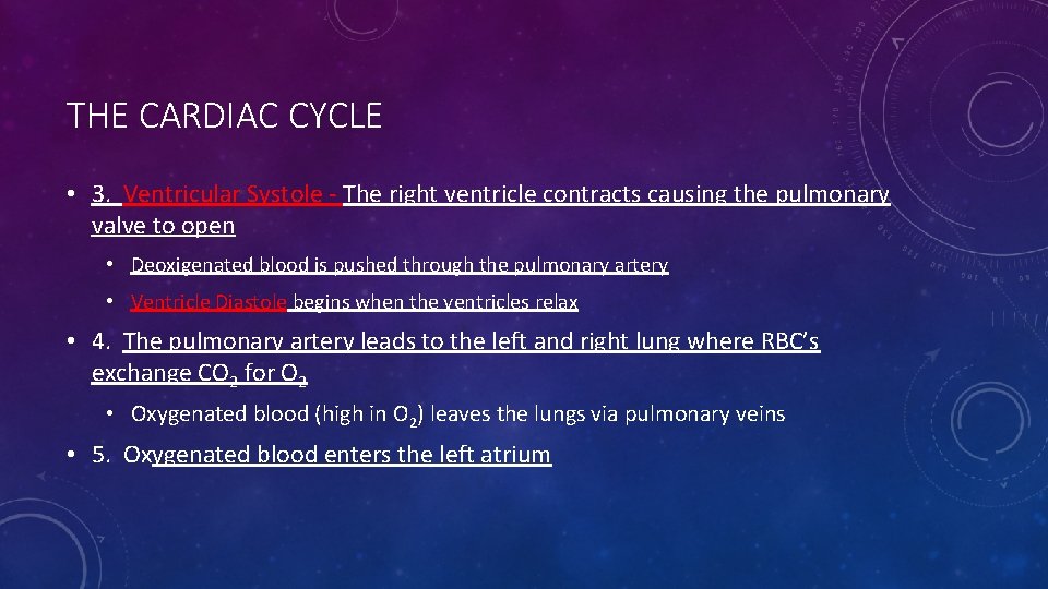 THE CARDIAC CYCLE • 3. Ventricular Systole - The right ventricle contracts causing the